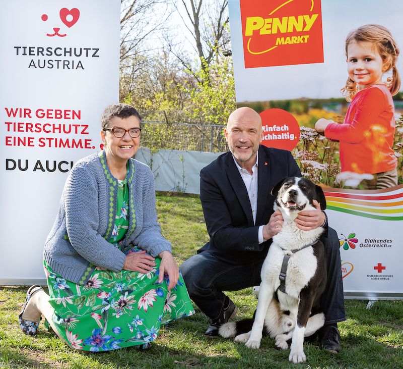 PENNY verzichtet zukünftig in ganz Österreich auf den Verkauf von Feuerwerkskörpern.