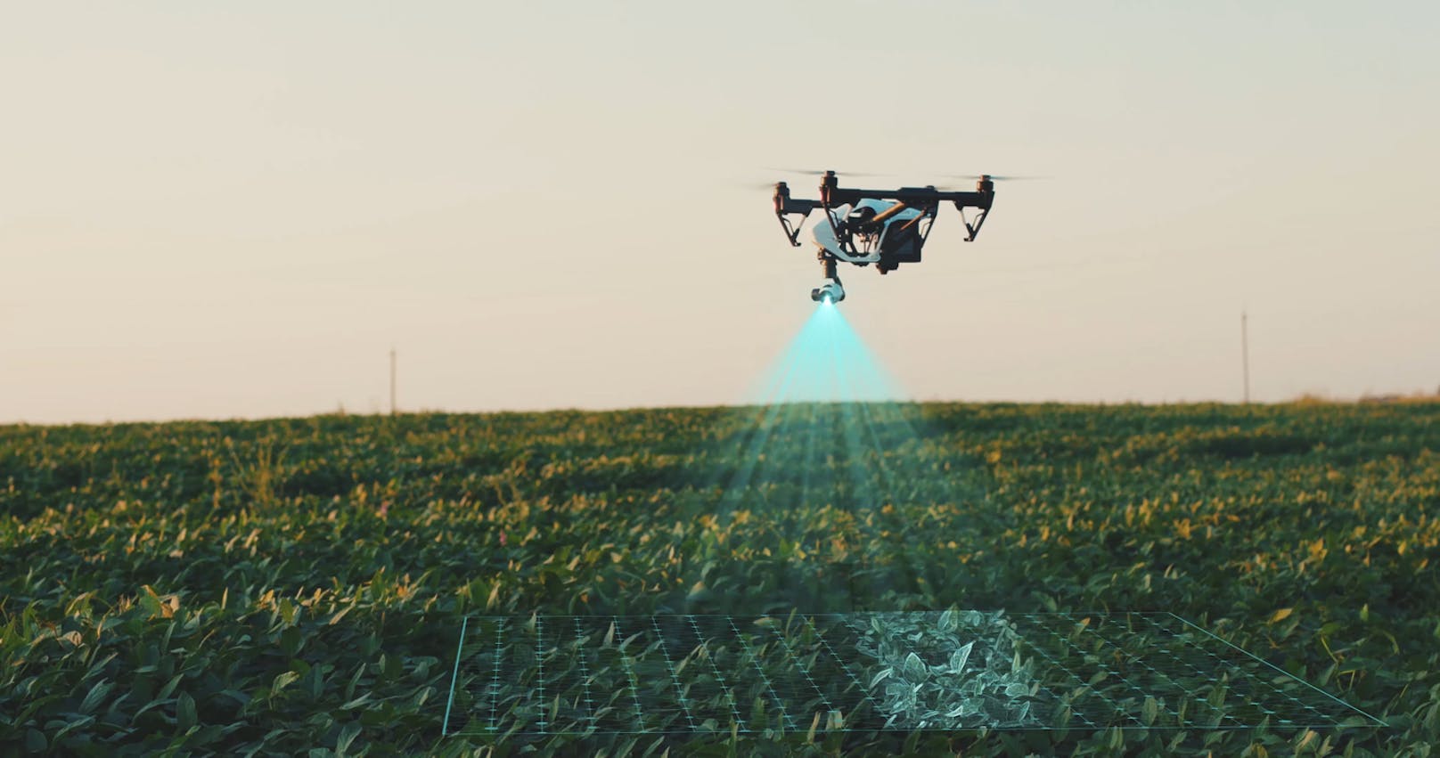 Drohnen und 5G unterstützen bei nachhaltiger Landwirtschaft.
