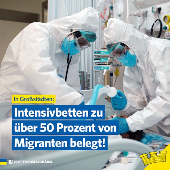 Das Sujet der FP auf Facebook