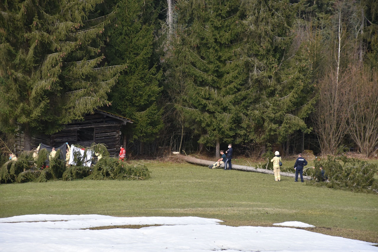 Heute.at - 74-Jähriger erliegt nach Holzunfall seinen Verletzungen