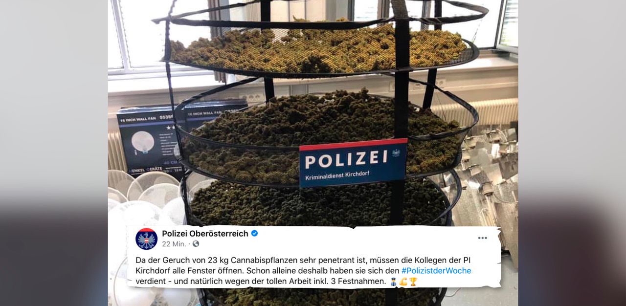 In Kirchdorf stellte die Polizei eine riesige Cannabis-Plantage sicher.