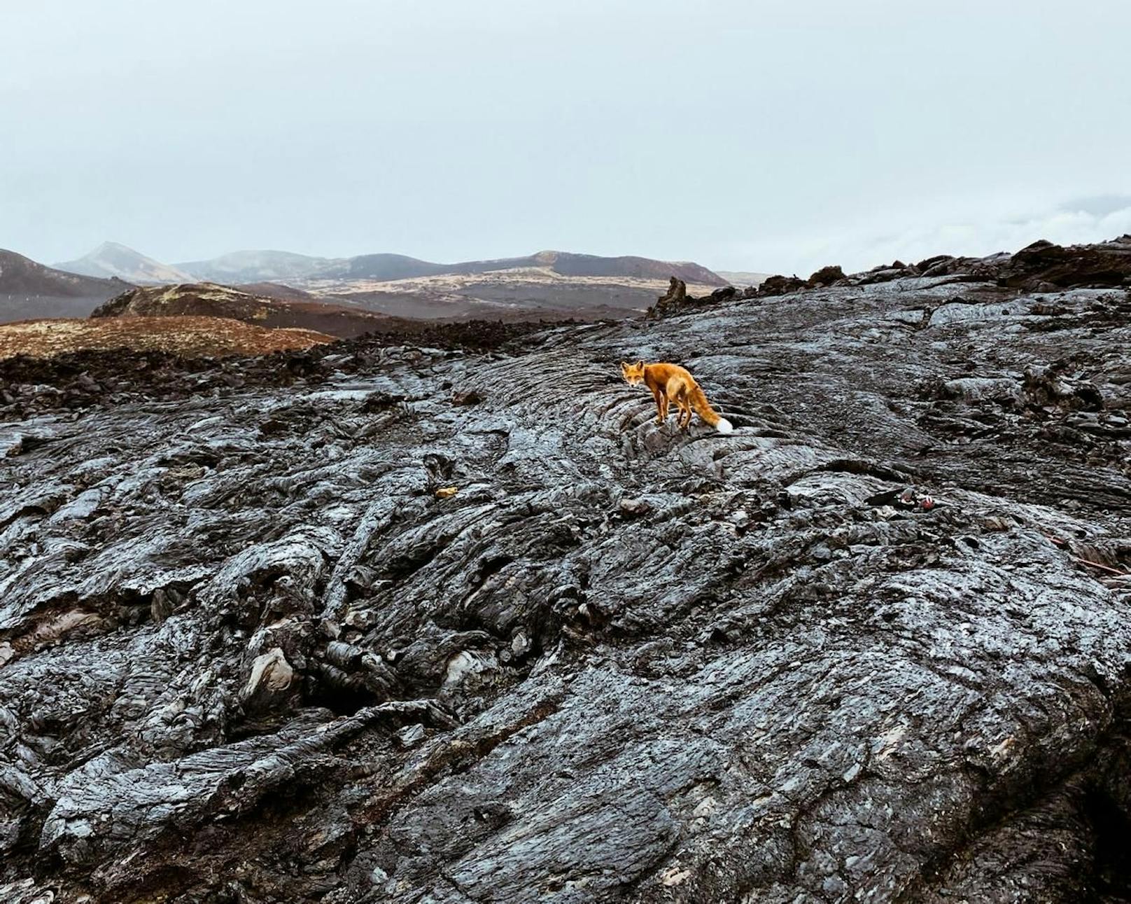 <strong>SWPA 3. Platz Kategorie Landschaft: Fyodor Savintsev, Russland.</strong><br>"Bei meiner ersten Reise zu den Vulkanen von Kamchatka im Osten Russlands", erzählt der Fotograf. "Die Kachatka-Halbinsel ist anders als alles andere, was ich je gesehen habe. Ich war absorbiert von ihrer Schönheit."