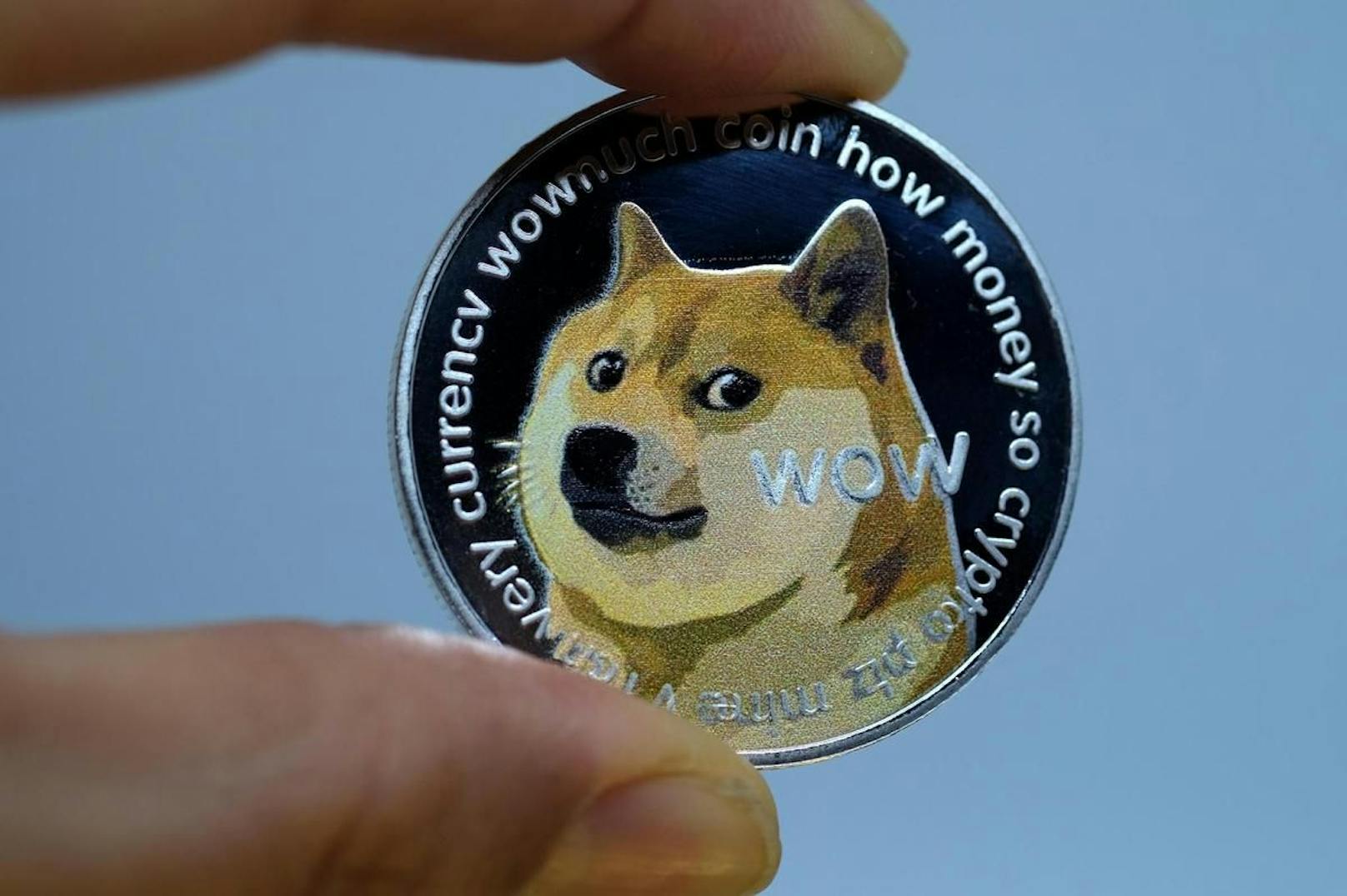 Der Kurs des Dogecoin stieg in einem halben Jahr um 10.000 Prozent.