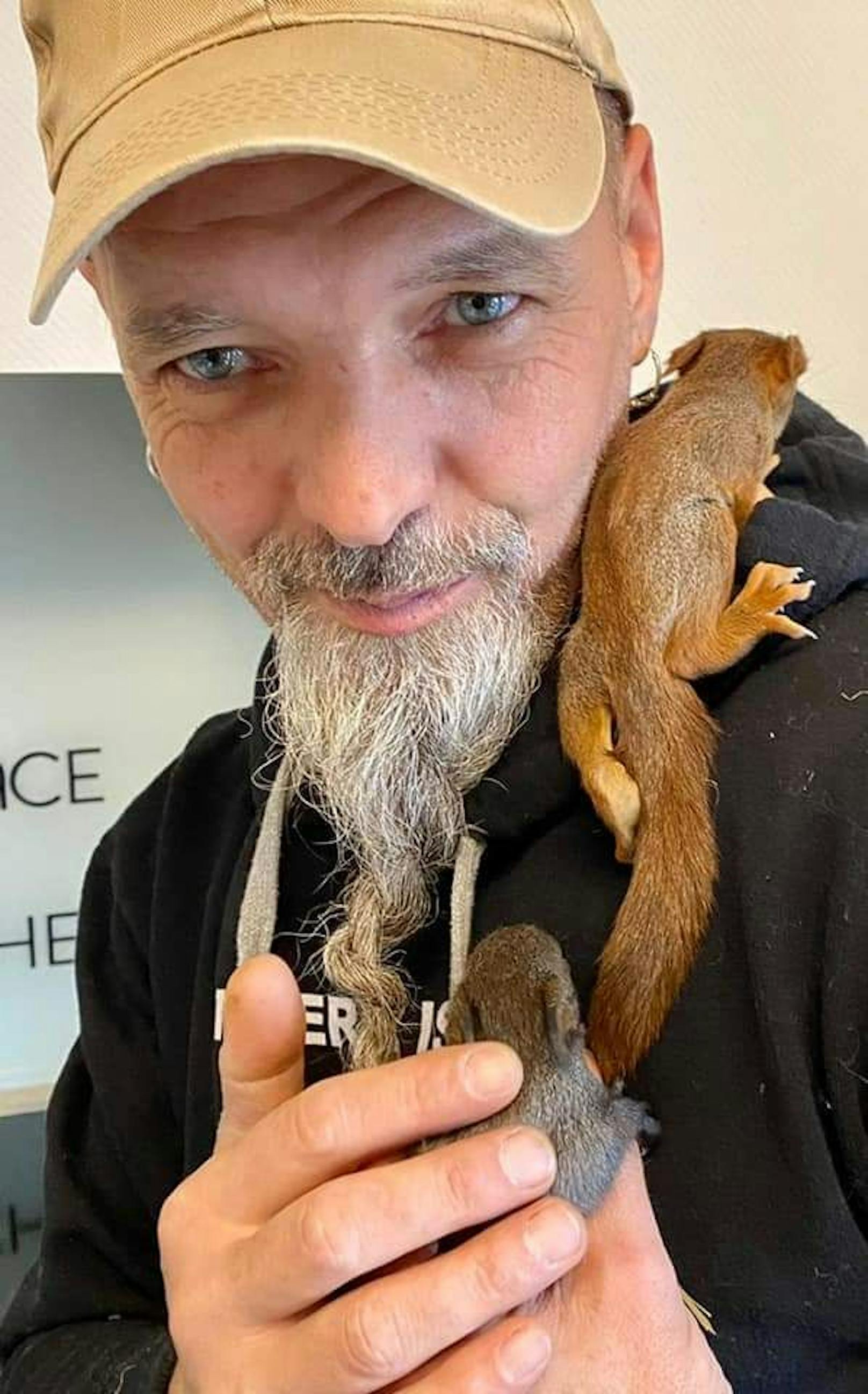 Eichhörnchenbabys wurden gerettet.