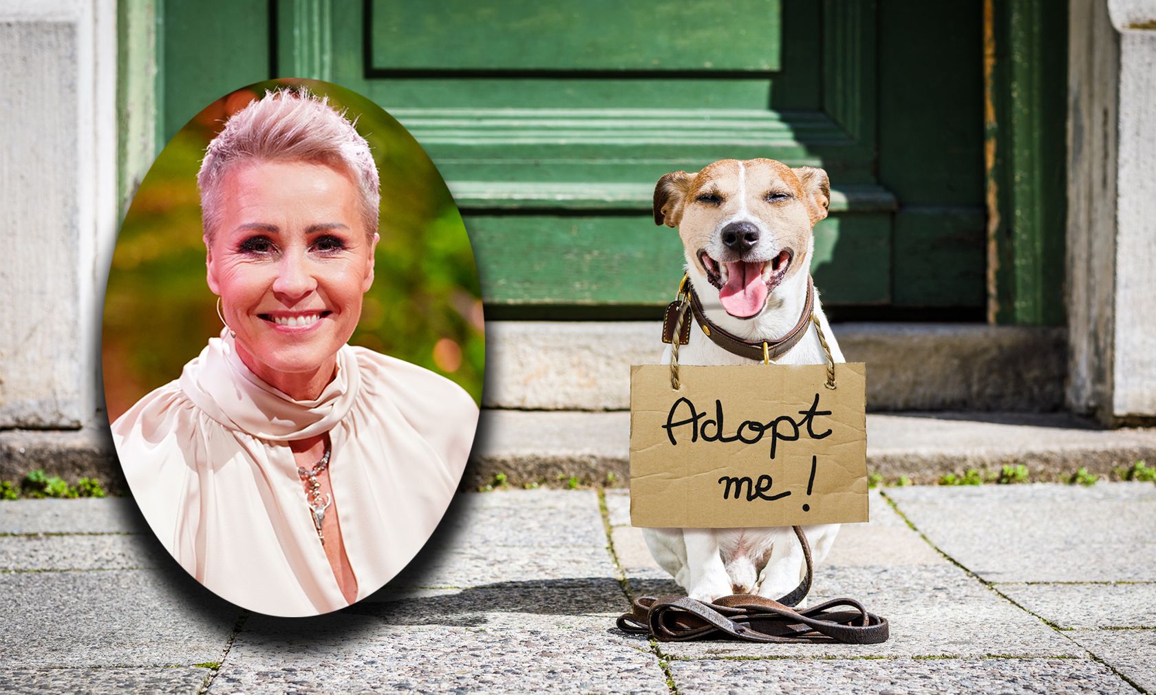 Die beliebte RTL-Moderatorin Sonja Zietlow moderiert ab Juni "The Dog House".