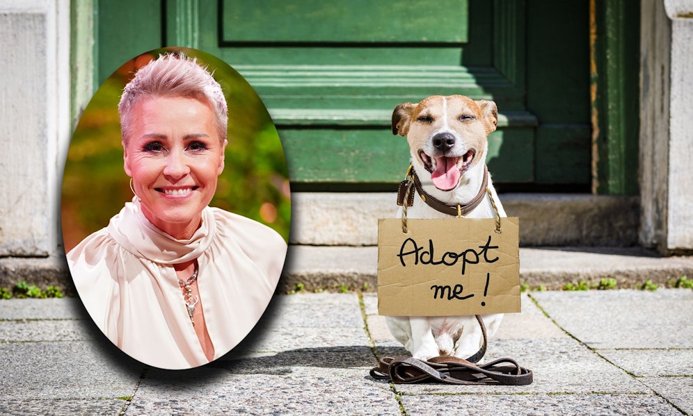 Die beliebte RTL-Moderatorin Sonja Zietlow moderiert ab Juni 