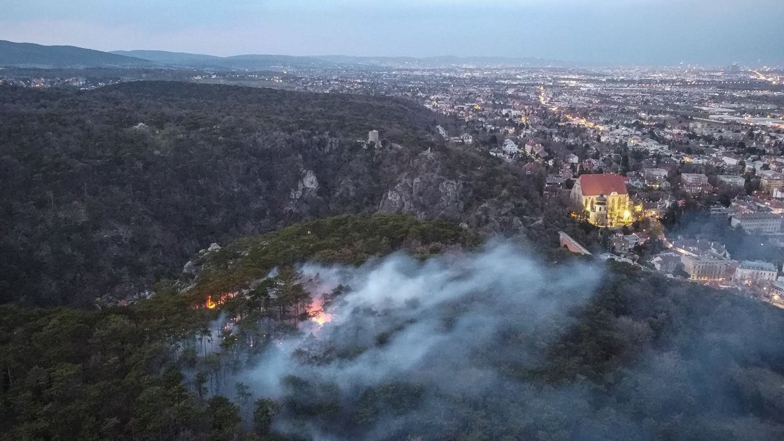 Beim Anninger stand ein Waldgebiet in Flammen. 