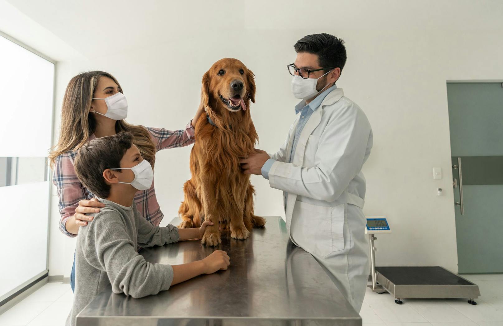 Russland lässt ab jetzt auch Hunde impfen. 