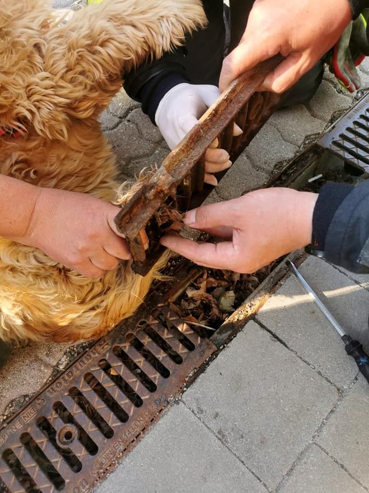Die Feuerwehr schraubte den Kanaldeckel ab.
