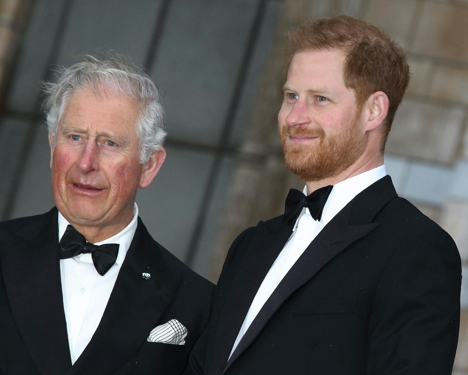 Prinz Charles und sein Sohn Prinz Harry