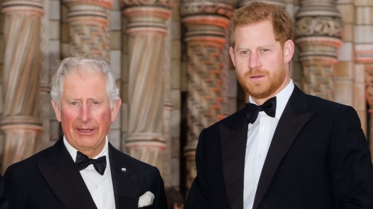 Prinz William, Sir David Attenborough Prinz Charles, Prinz Harry