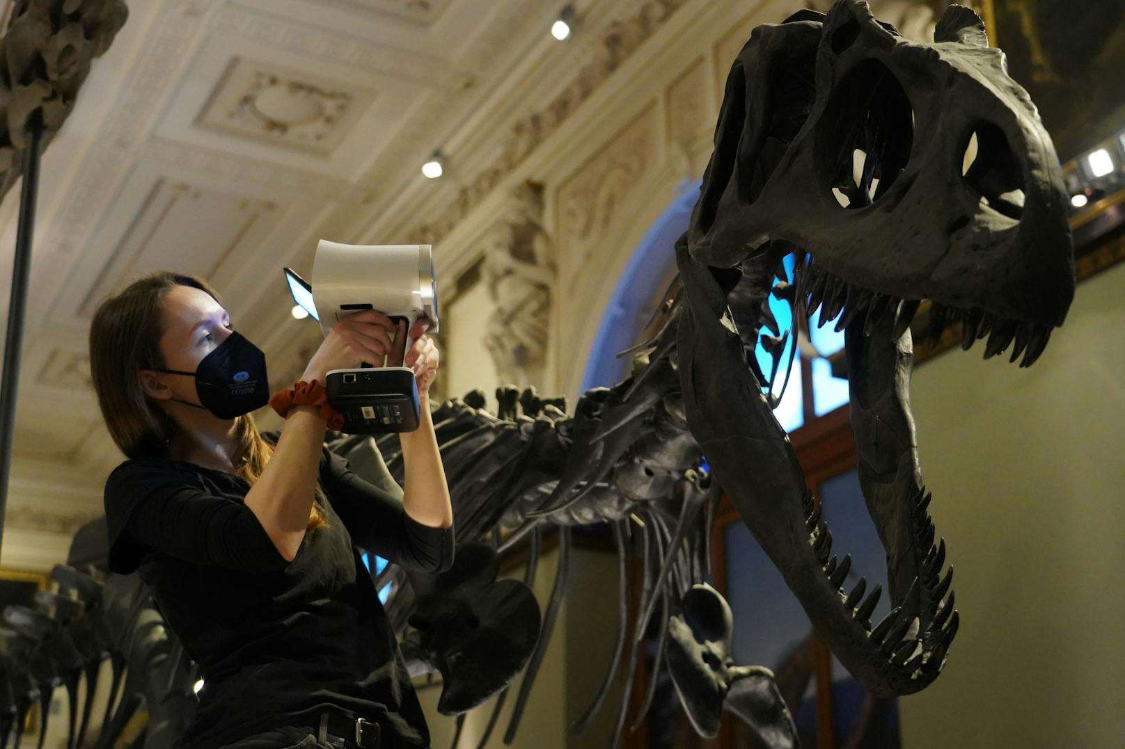 Das D in 3D steht im Naturhistorischen Museum Wien jetzt für Dinosaurier. Ab jetzt können Objekte des Museums auf der webbasierten Plattform Sketchfab digital und in 3D aus neuen Perspektiven betrachtet werden.