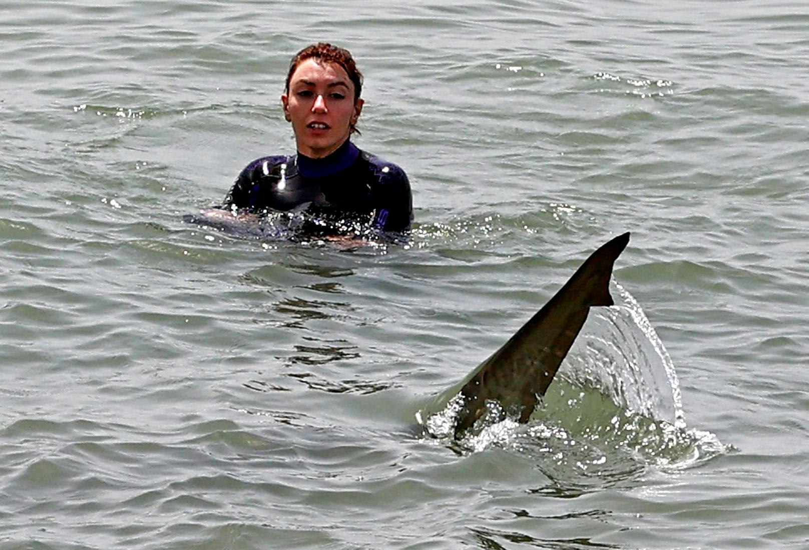 Die israelische Naturparkbehörde warnte die Menschen jedoch davor, zu den Haien ins Wasser zu gehen.&nbsp;