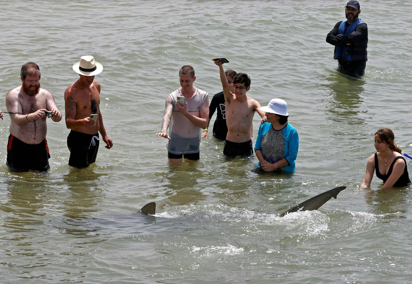 Das "Shark Watching" zieht jedes Jahr viele Touristen nach Hadera.