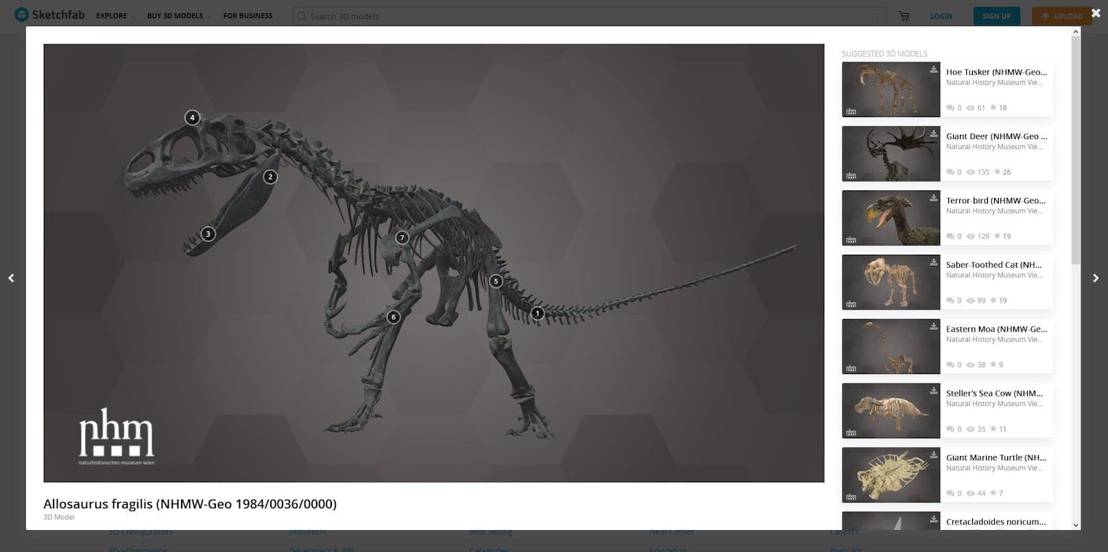 Das D in 3D steht im Naturhistorischen Museum Wien jetzt für Dinosaurier. Ab jetzt können Objekte des Museums auf der webbasierten Plattform Sketchfab digital und in 3D aus neuen Perspektiven betrachtet werden.