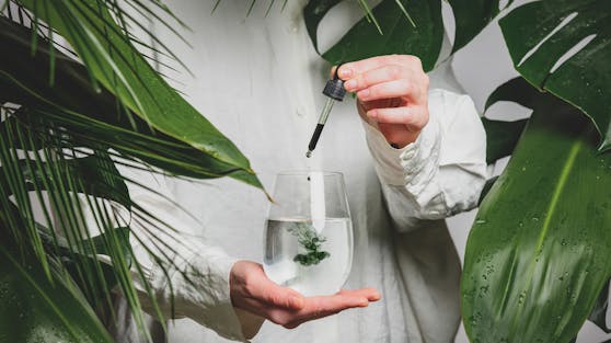 Der neue TikTik-Beauty Trend dreht sich ums "Chlorophyll-Wasser".