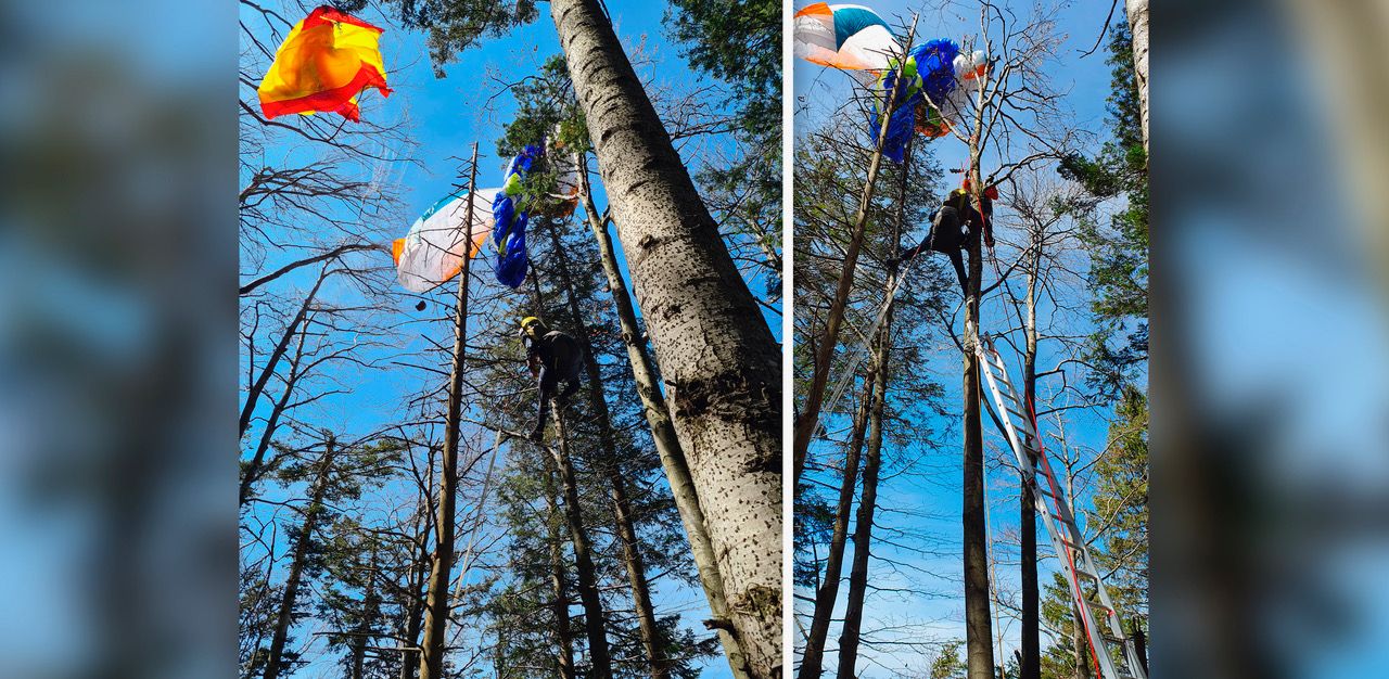 Die beiden Paragleiter krachten über dem Gaisberg zusammen, blieben nach dem Absturz in den Bäumen hängen.