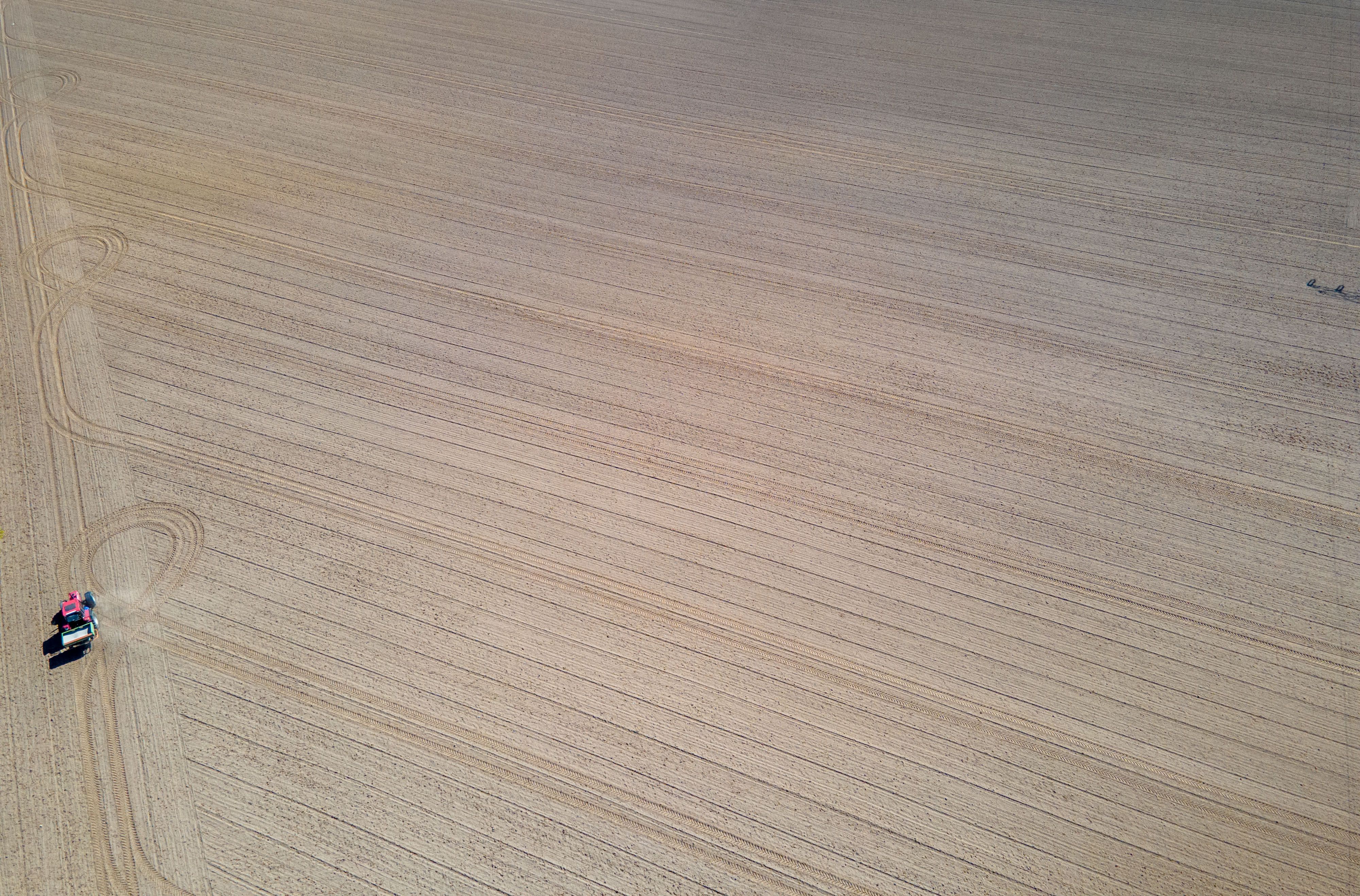 Der Mopedlenker wollte über ein Feld flüchten. Dies gelang ihm nicht. Symbolbild.