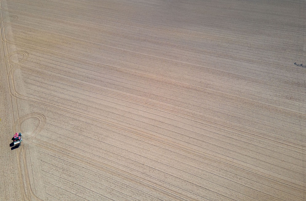 Der Mopedlenker wollte über ein Feld flüchten. Dies gelang ihm nicht. Symbolbild.