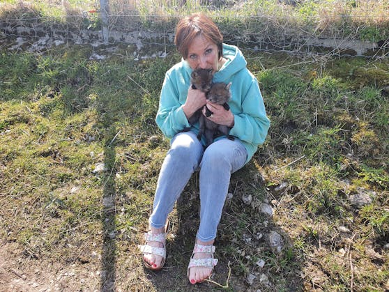 Diese beiden Fuchsbabys wurden auf einer Straße in Vorchdorf gefunden.