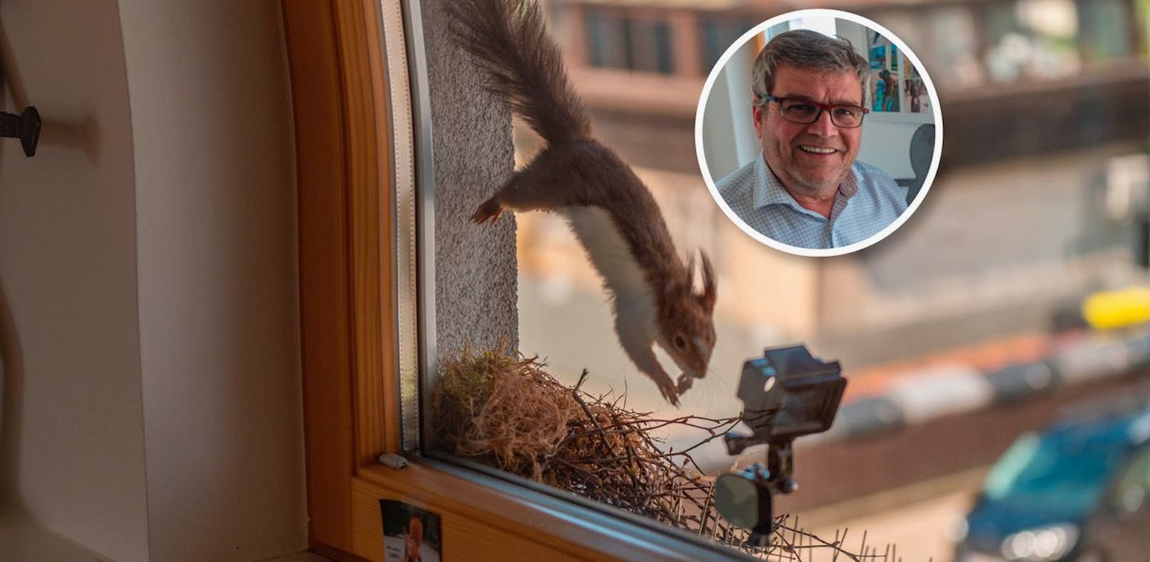 Eichhörnchen "Lucy" arbeitet jetzt bei Marchtrenks Bürgermeister Paul Mahr.