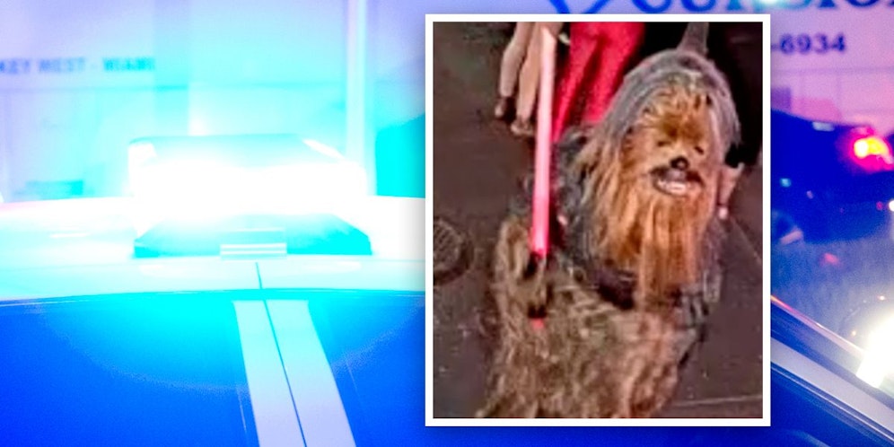 In New Orleans wird ein gewalttätiger Wookiee gesucht.