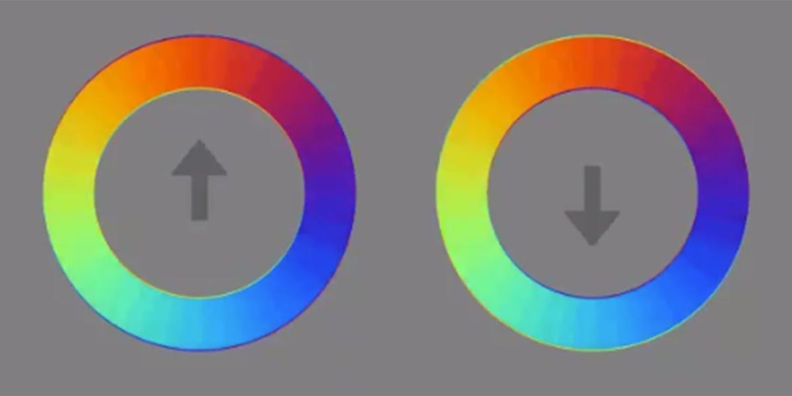 Diese beiden bunten Kreise sorgen für eine optische Täuschung.
