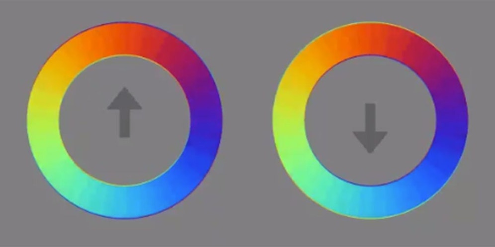 Diese beiden bunten Kreise sorgen für eine optische Täuschung.