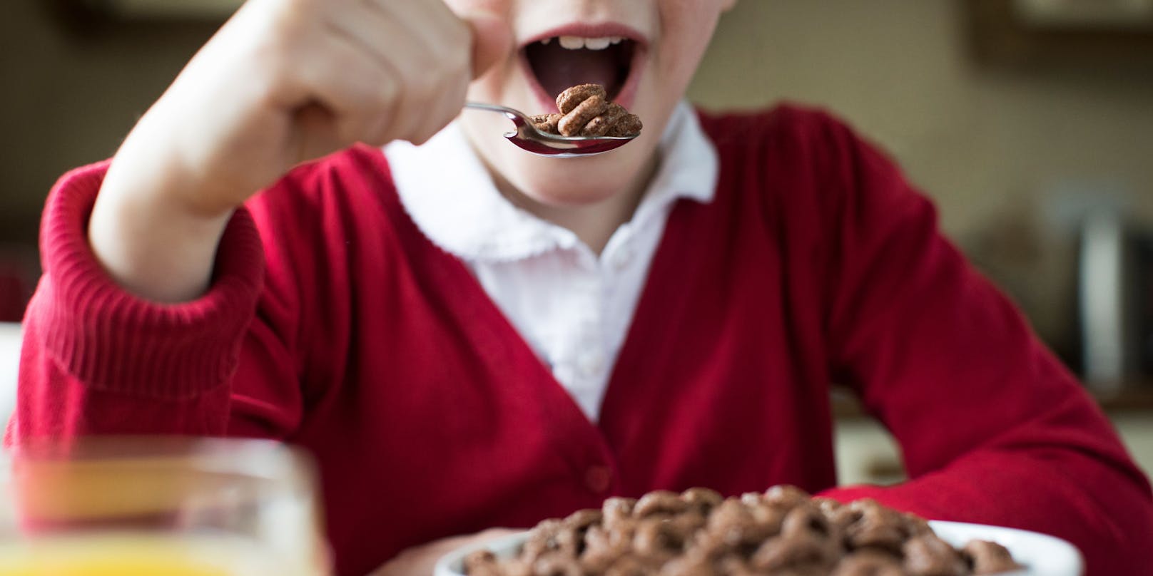 Schon eine Portion Schoko-Zerealien zum Frühstück kann bereits einen beträchtlichen Anteil der Zucker-Tagesration eines Kindes ausmachen