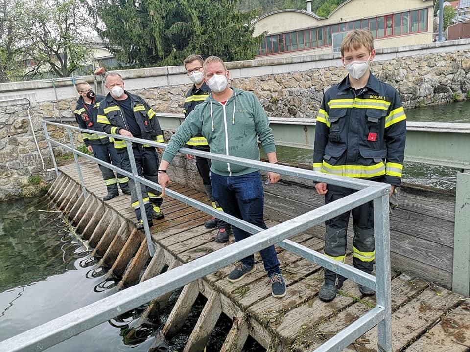 Hier wurde der Hund gefunden.