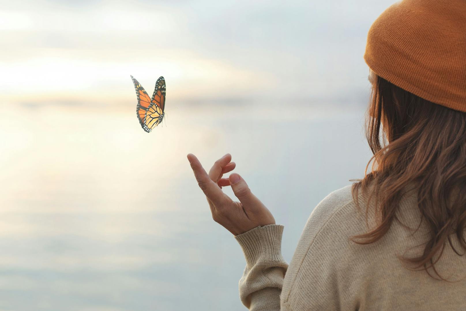 Schmetterlinge kehren auch in dein Leben zurück, wenn du folgende Tipps beachtest.