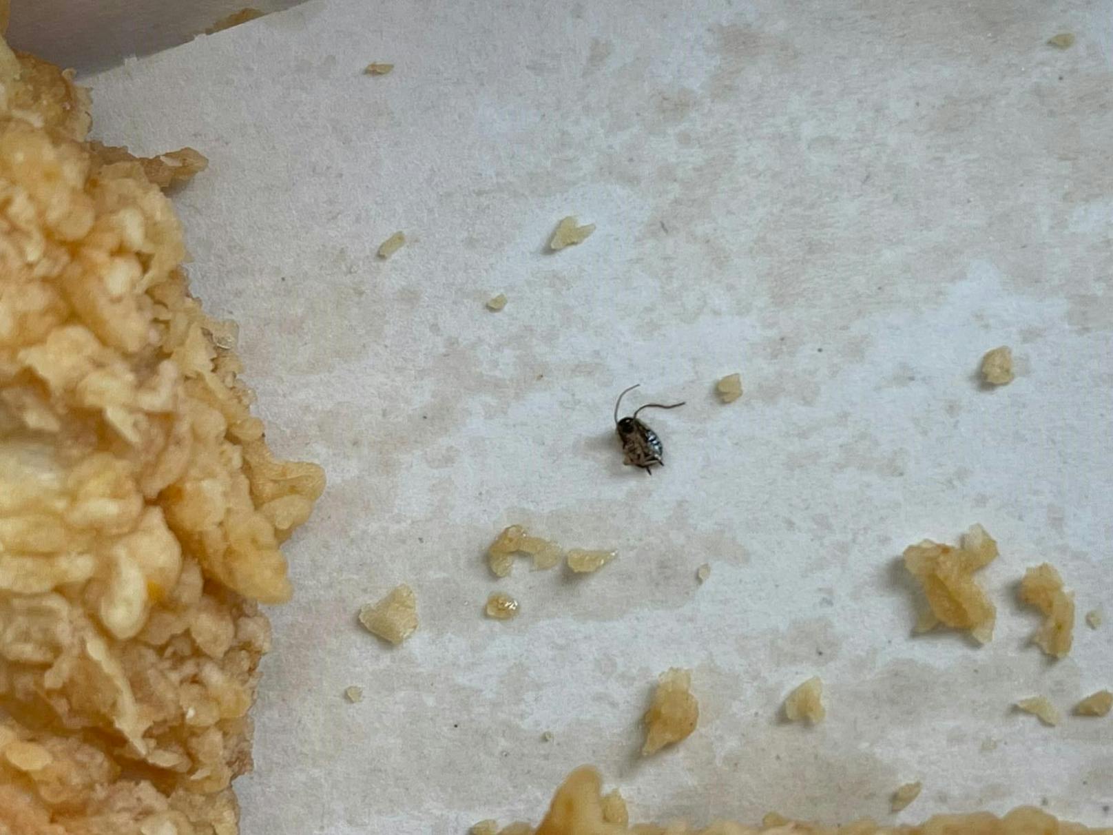 Dieses Insekt entdeckte der Leser in seinem Essen.
