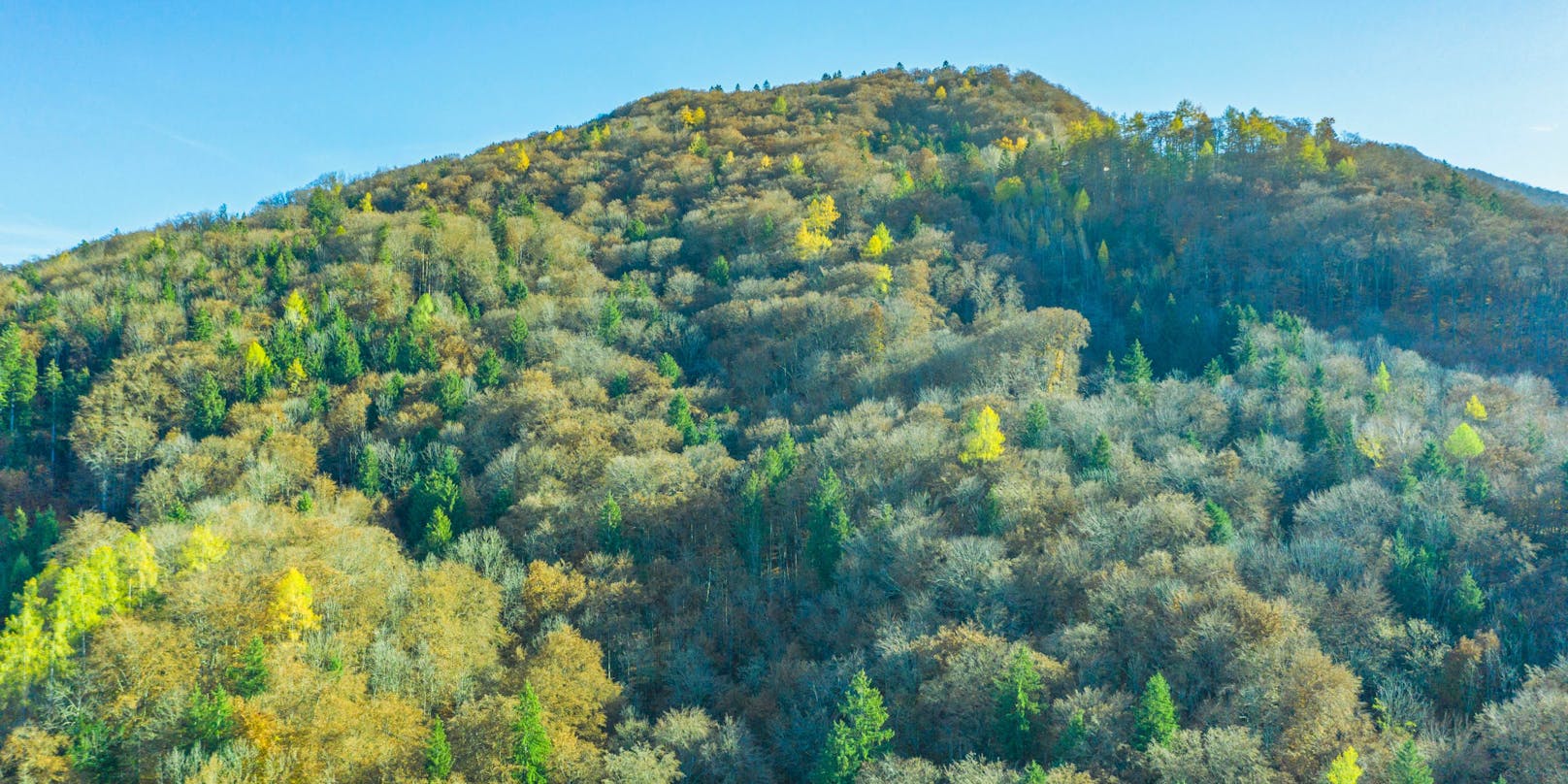 Österreich ist eines der grünsten Länder der Welt (im Bild: Bergwald über dem Ortszentrum von Elsbethen (Salzburg)).