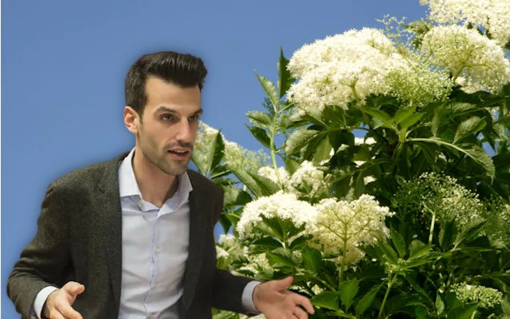 Landbauer und Hollerblüten im Hintergrund.