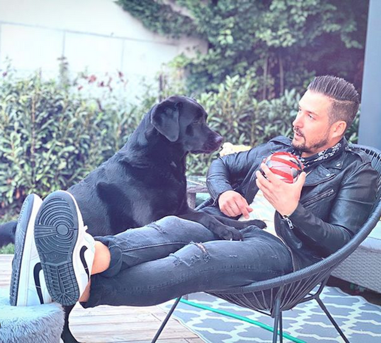 Heute.at - TV-Star geschockt: Sein Hund lag auf Intensivstation