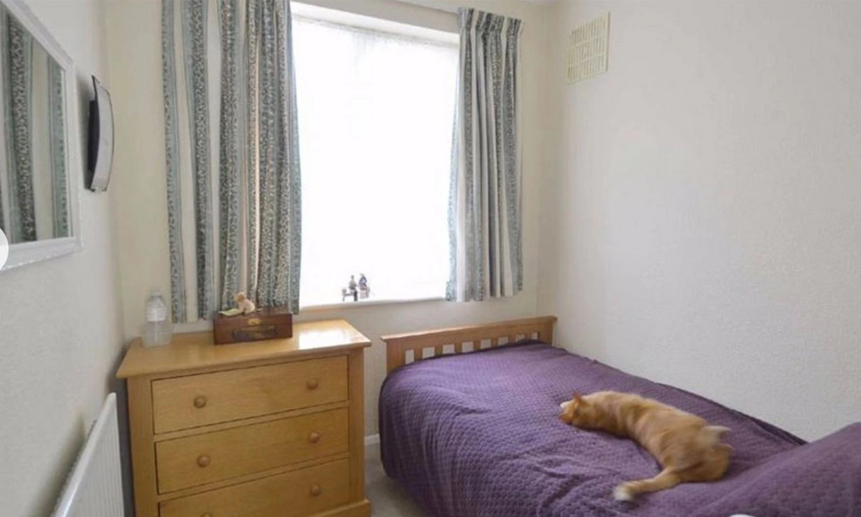 Tja, mit diesem Bild flog Kater "Freddy" auf.