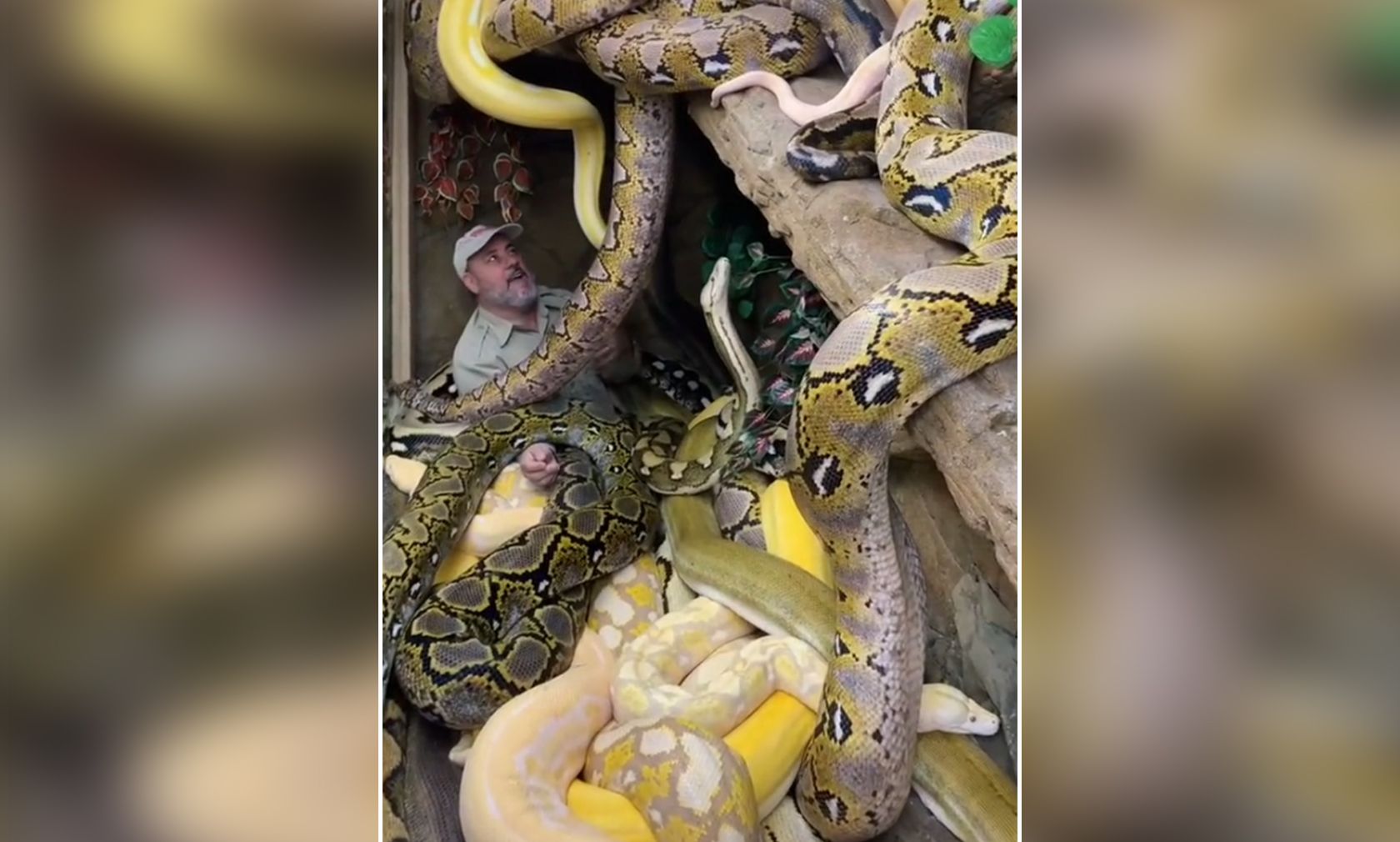 Jay Brewer wollte seiner TikTok-Gemeinde für 10 Millionen Follower danken. Wie immer tat er dies höchst spektakulär. 