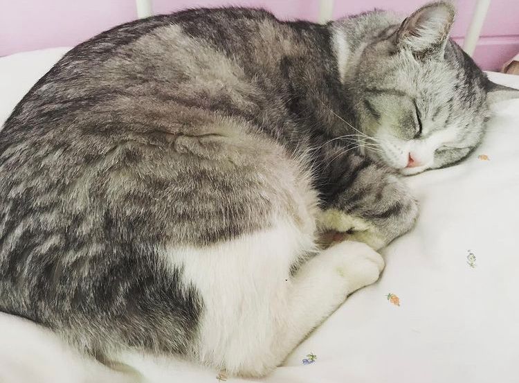 Auf zur Such- und Rettungsaktion von Kater "Daggy". 