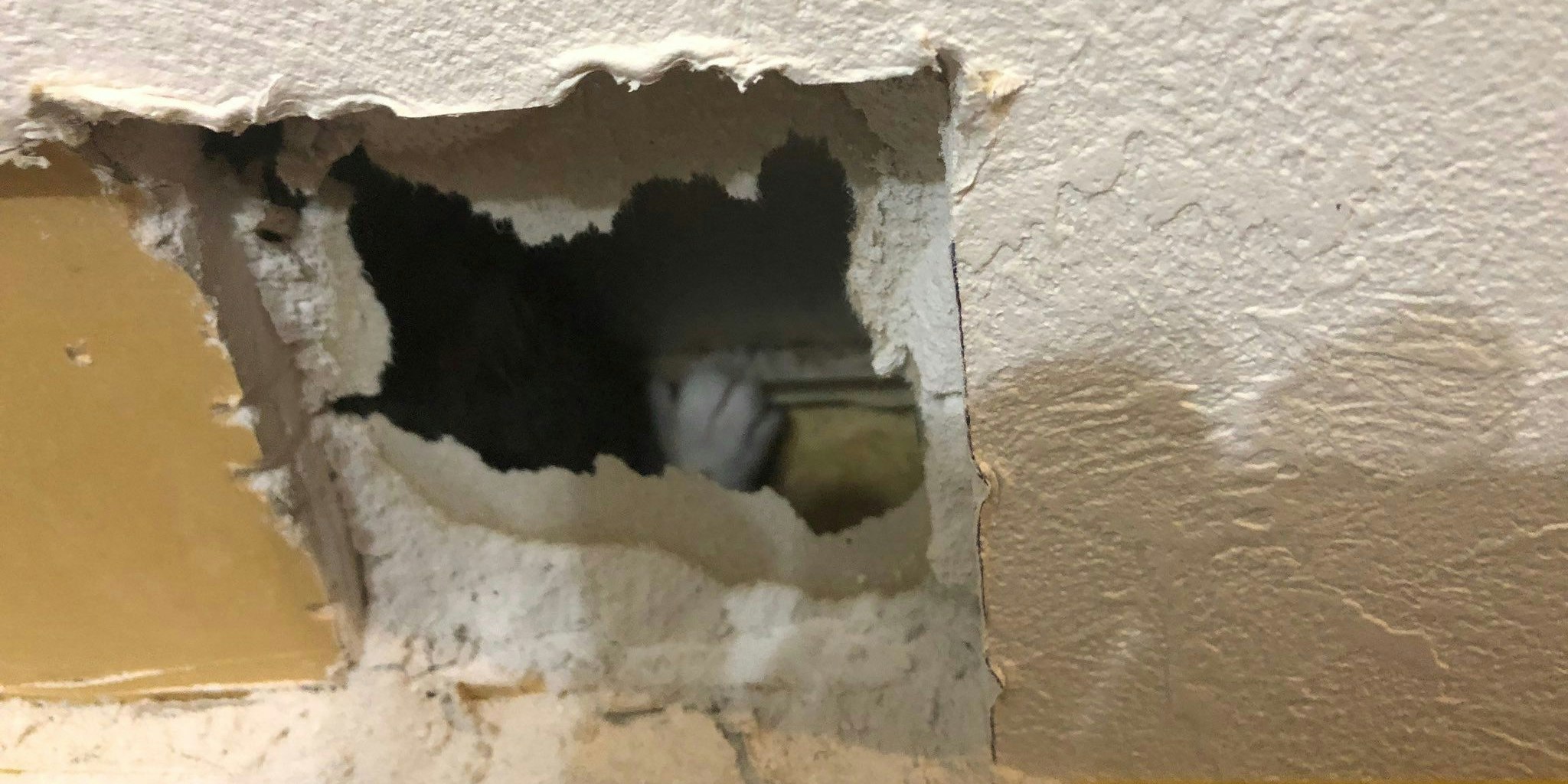 Erkennt ihr es schon? 