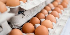 Na Mahlzeit! Diebe stahlen 93 (!) Eier aus Hofladen