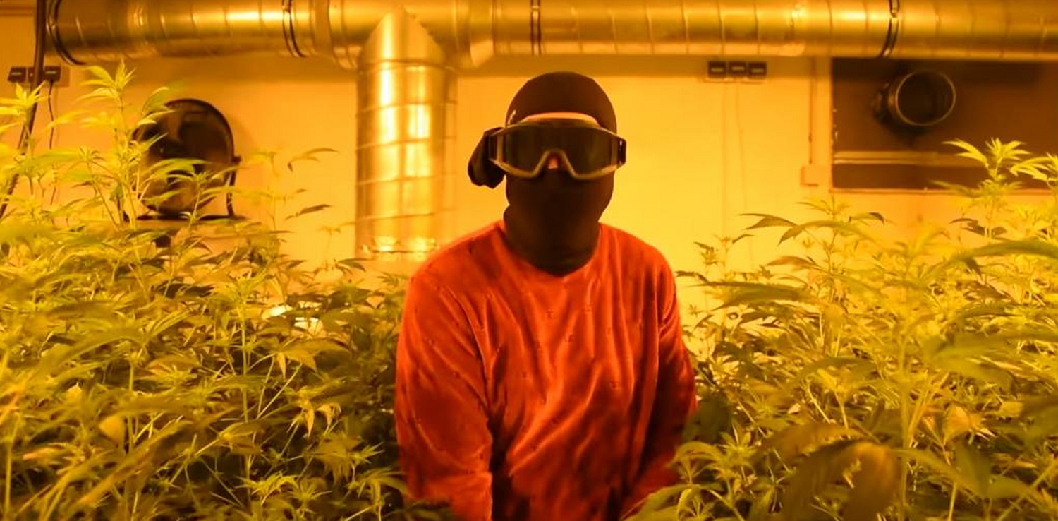 Der Dealer inmitten seiner Plantage