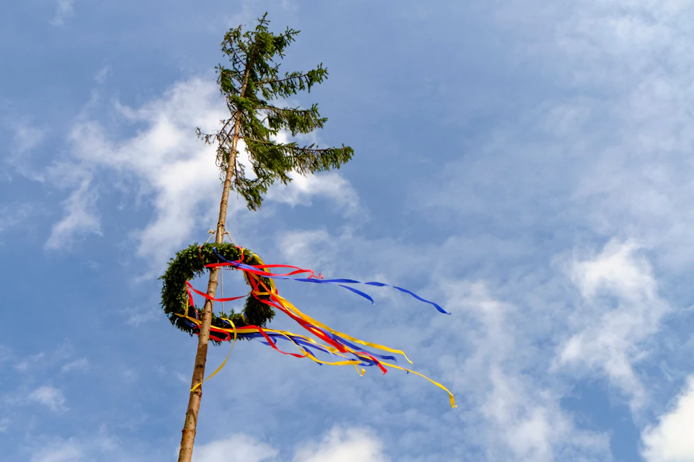 Der Maibaum wurde von Unbekannten umgeschnitten.
