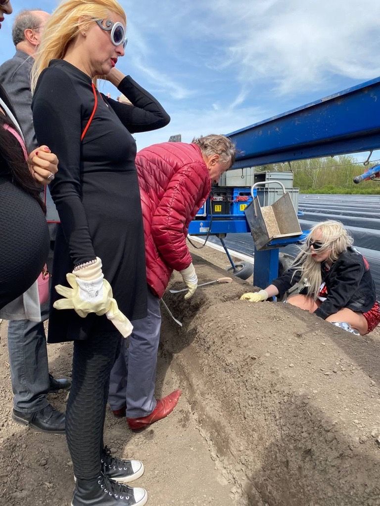 Lydia blamiert sich beim Spargelstechen. Lugner versucht, ihr zu helfen.