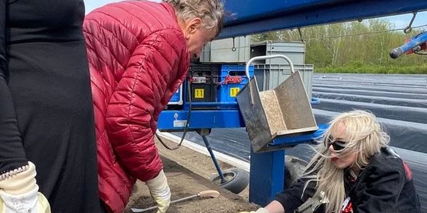 Lydia blamiert sich beim Spargelstechen, Lugner versucht ihr zu helfen.