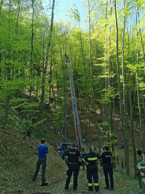 Paragleiter im Baum