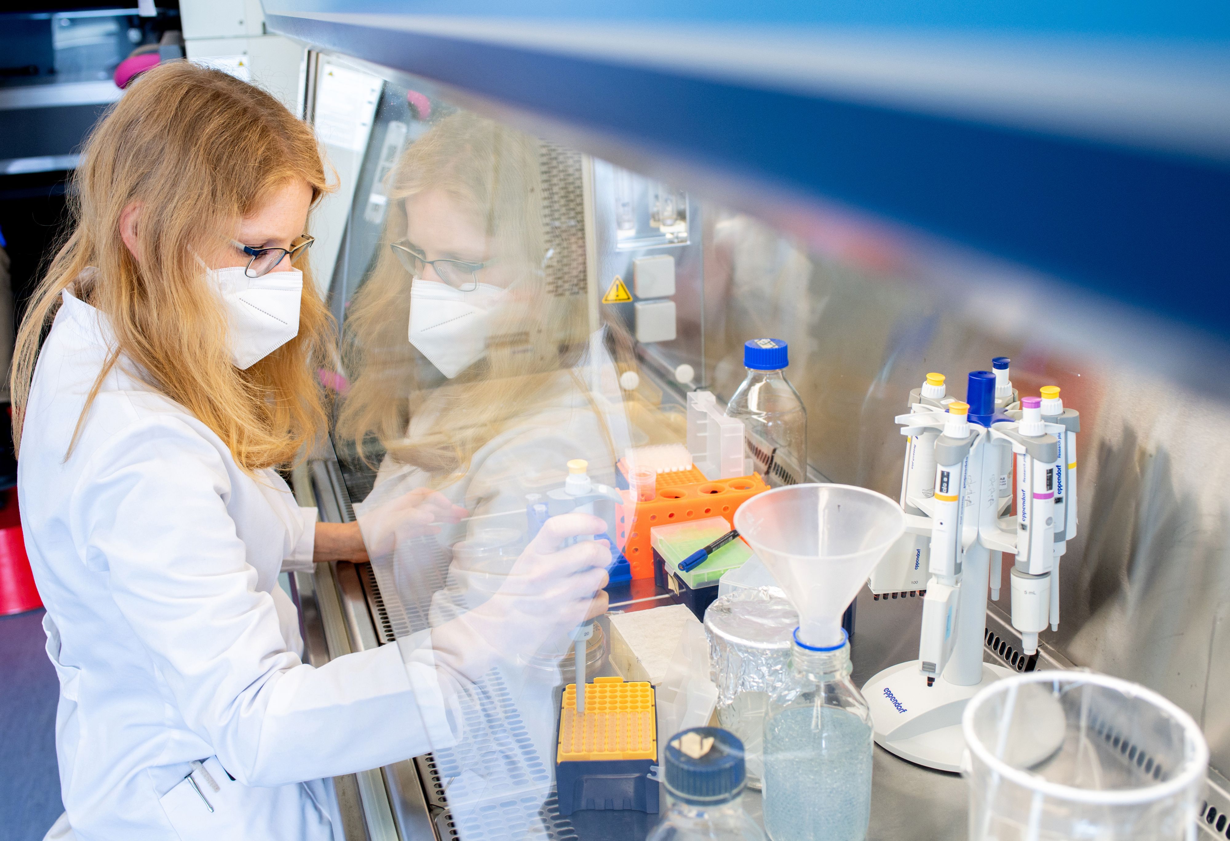 Download von www.picturedesk.com am 11.05.2021 (19:46).  21 April 2021, Lower Saxony, Brunswick: Katharina Kleilein, a research assistant at Corat Therapeutics, checks selected antibodies with a pipette in a sterile area. The biotechnology company, founded in 2020 and based in Braunschweig, is developing a drug against Covid-19. Photo: Hauke-Christian Dittrich/dpa - 20210421_PD17676 - Rechteinfo: Rights Managed (RM)