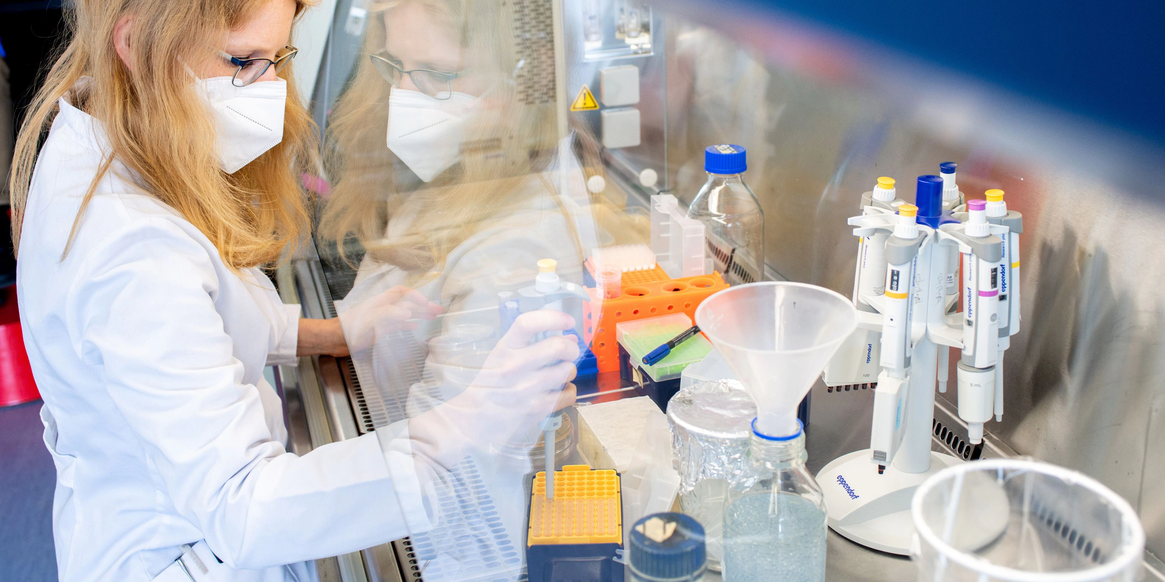 Download von www.picturedesk.com am 11.05.2021 (19:46).  21 April 2021, Lower Saxony, Brunswick: Katharina Kleilein, a research assistant at Corat Therapeutics, checks selected antibodies with a pipette in a sterile area. The biotechnology company, founded in 2020 and based in Braunschweig, is developing a drug against Covid-19. Photo: Hauke-Christian Dittrich/dpa - 20210421_PD17676 - Rechteinfo: Rights Managed (RM)