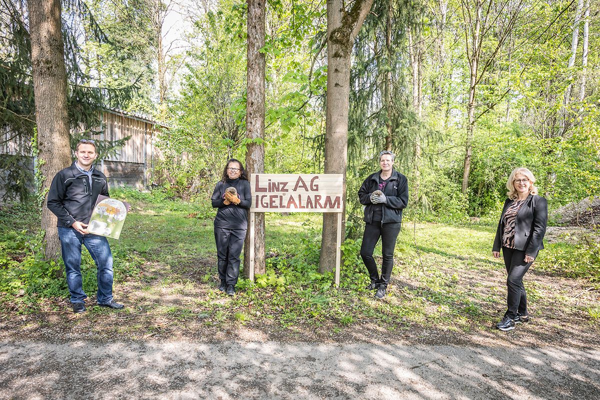 Schüler bastelten ein neues Zuhause für Igel auf Linzer Friedhöfen.
