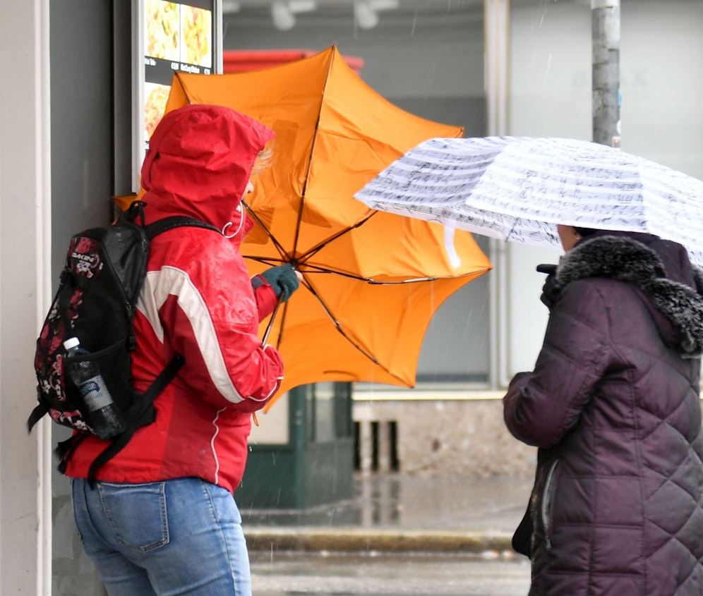 Regen und Wind begleiten uns durch den restlichen Mai.