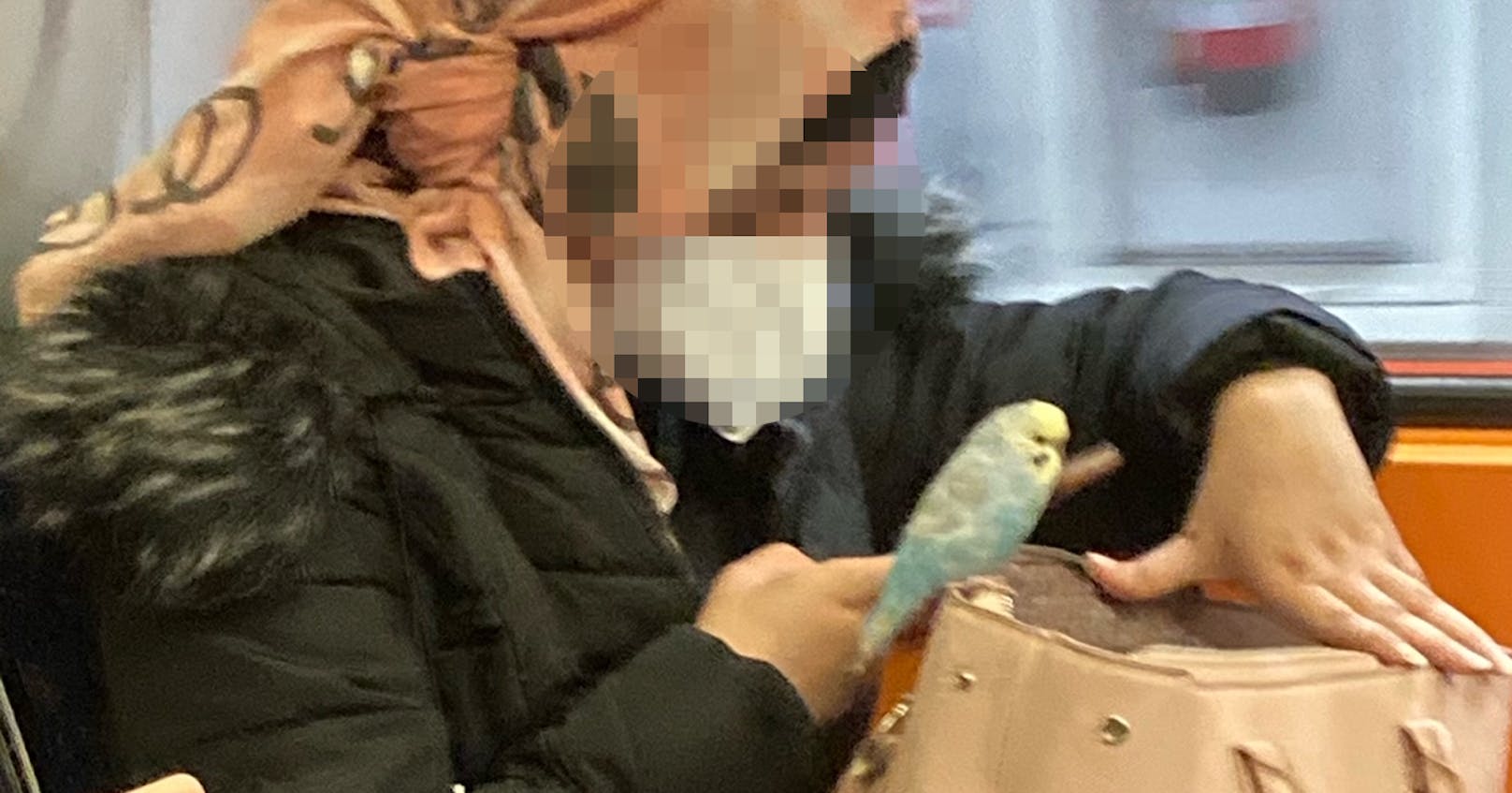 Dieser kleine Vogel war am Mittwoch Fahrgast in der Wiener U-Bahn